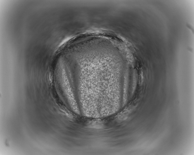 X0000096481206200802071911