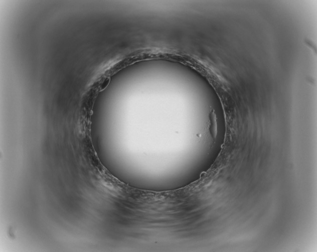 X0000096481207200802071911