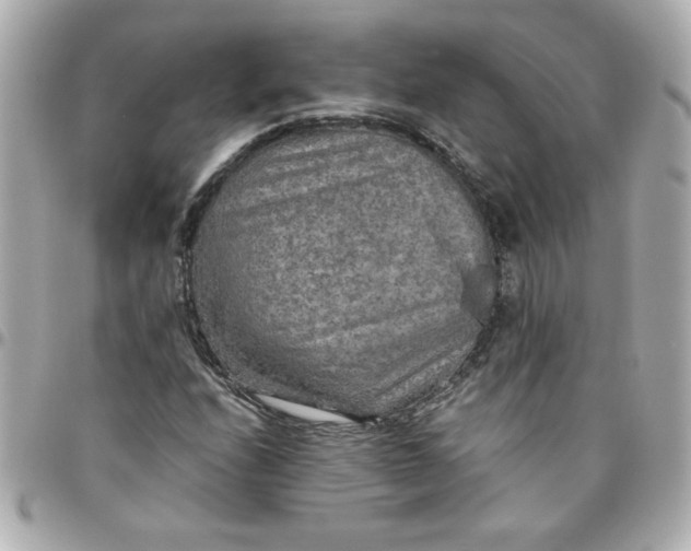 X0000096481208200802071911