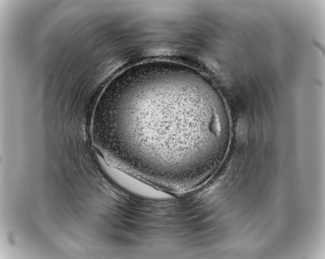 X0000096481209200802071911