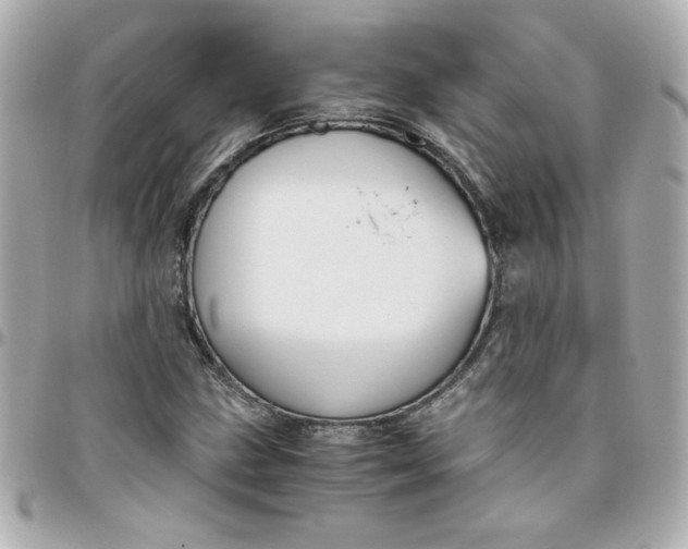 X0000096481211200802071911