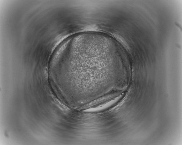 X0000096481212200802071911