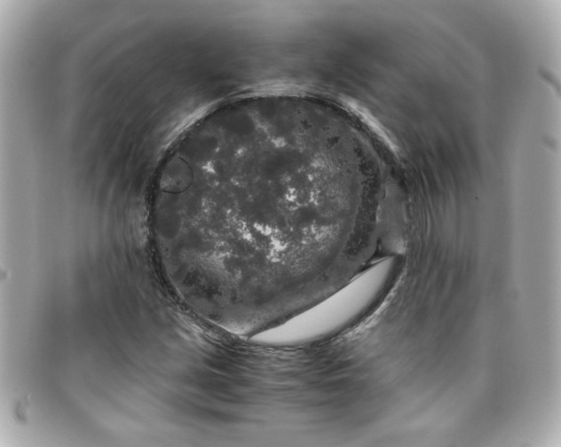 X0000096481213200802071911