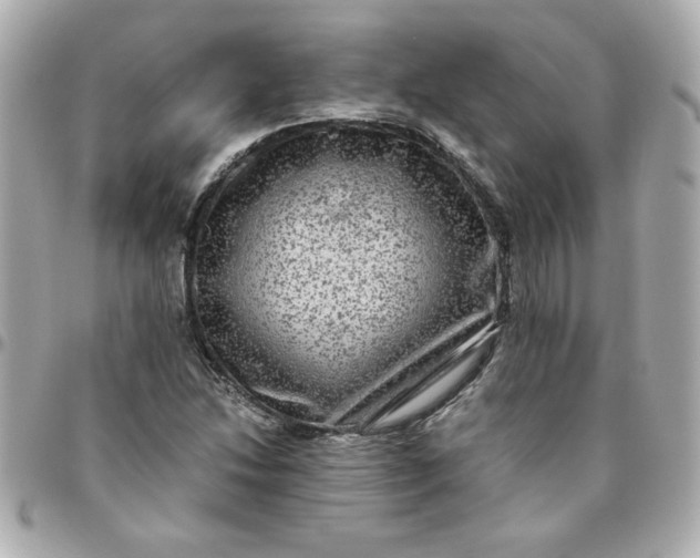 X0000096481214200802071911