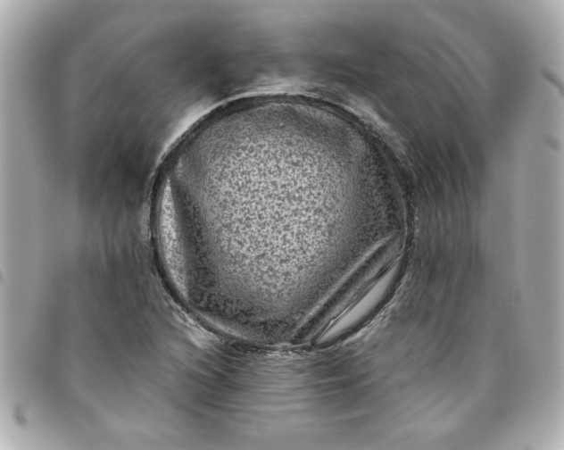 X0000096481216200802071911