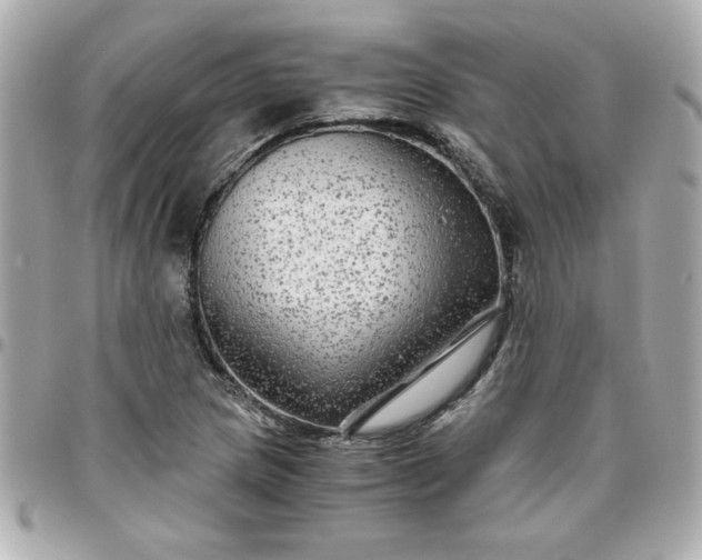 X0000096481217200802071911