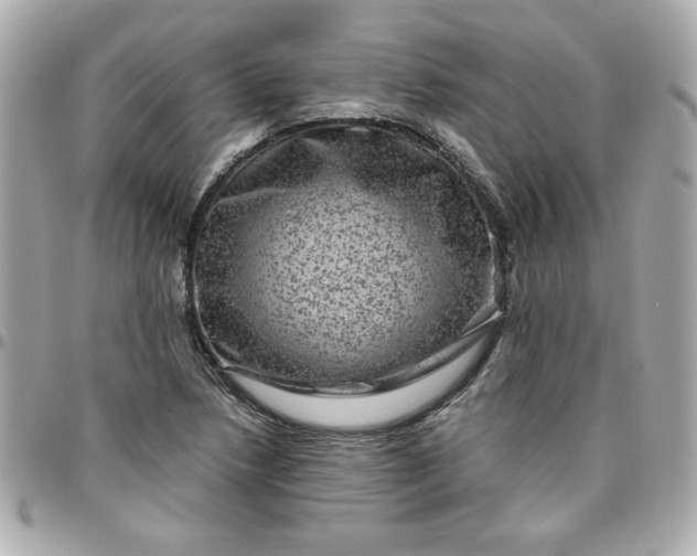 X0000096481218200802071911