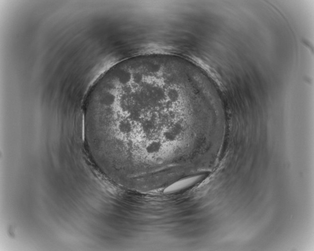 X0000096481219200802071911