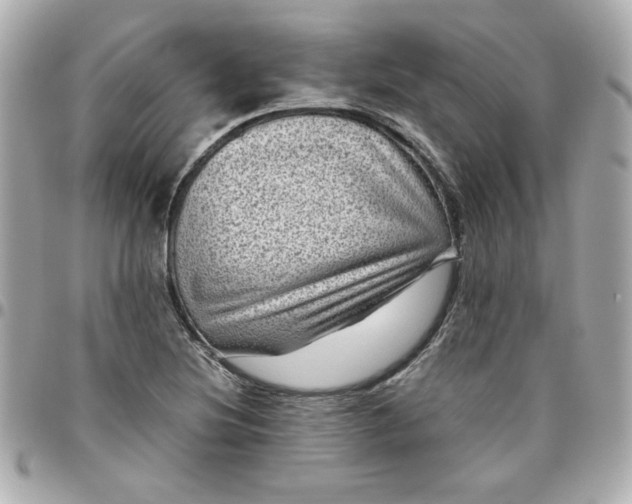 X0000096481220200802071911