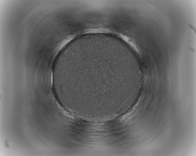 X0000096481221200802071912