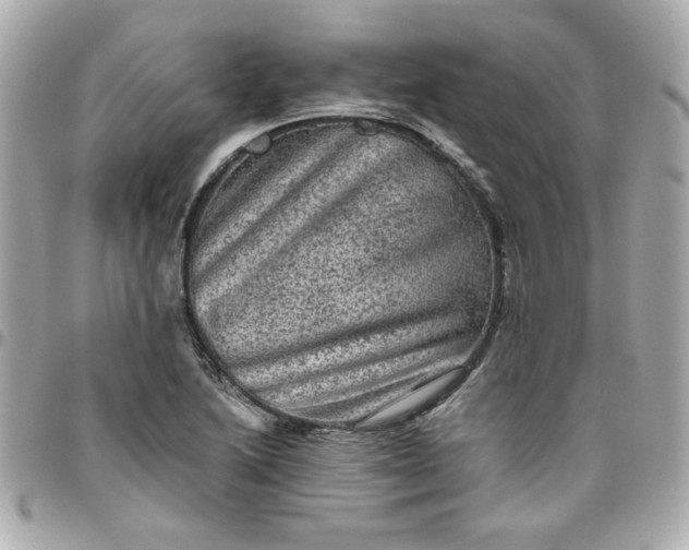 X0000096481222200802071912