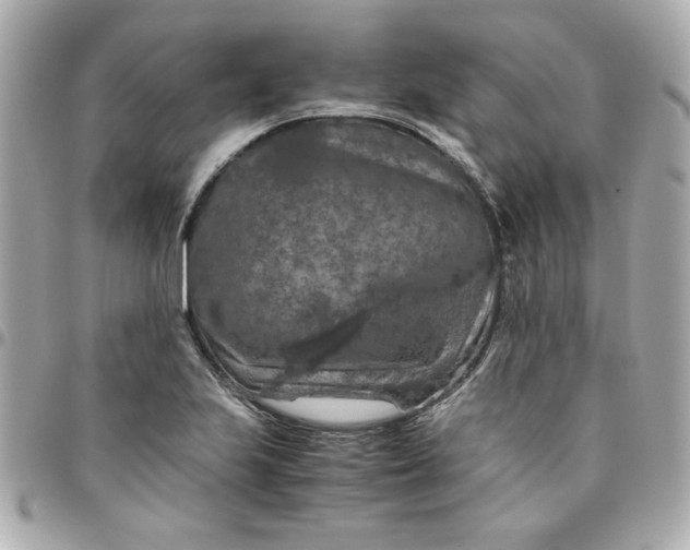 X0000096481223200802071912