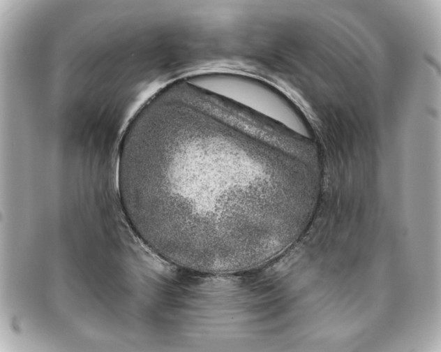 X0000096481224200802071912