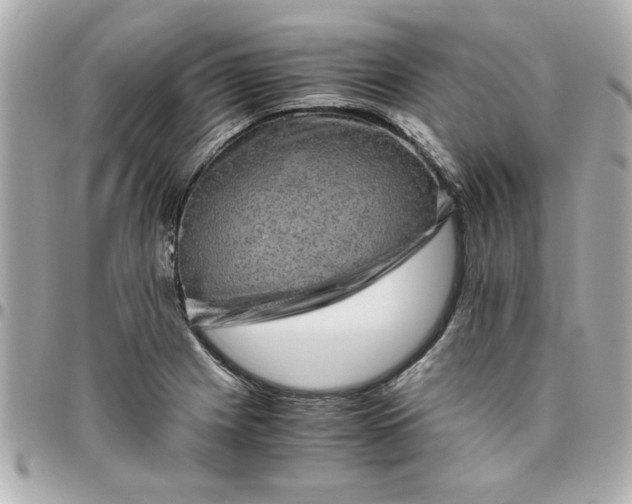 X0000096481225200802071912