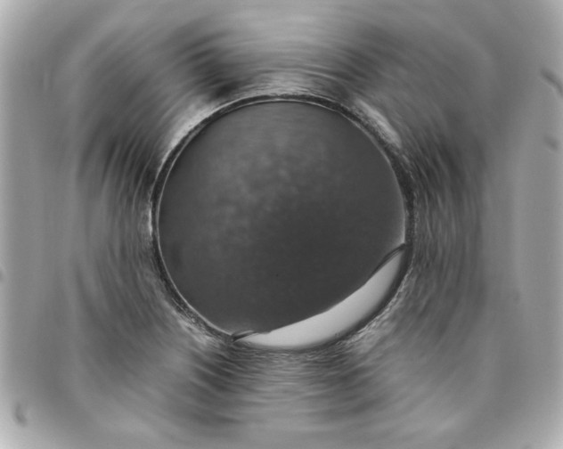 X0000096481226200802071912