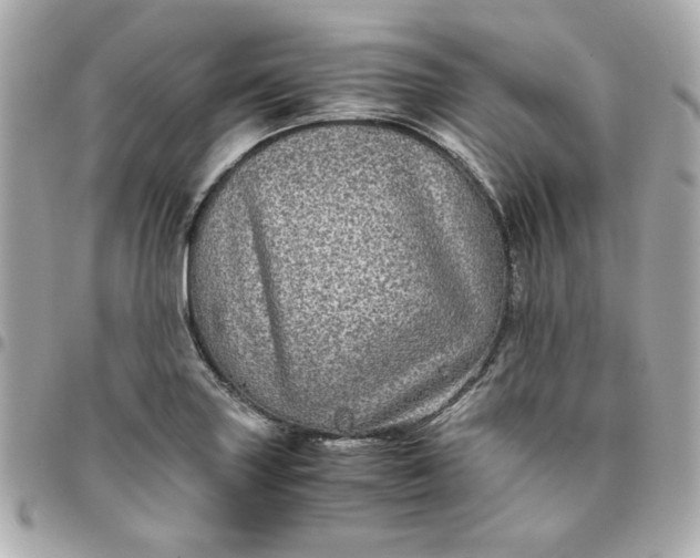 X0000096481227200802071912