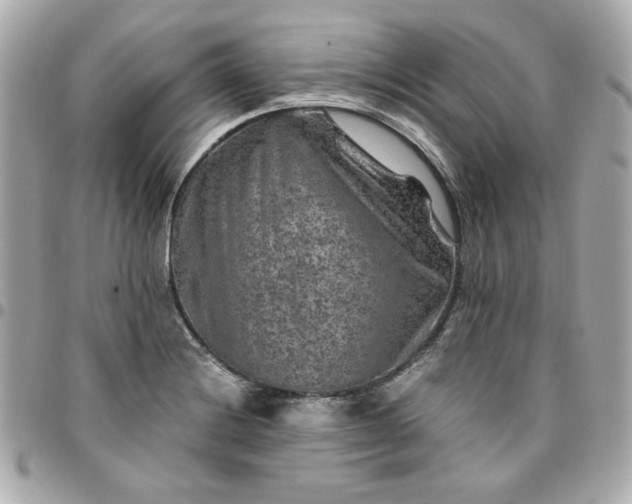 X0000096481228200802071912