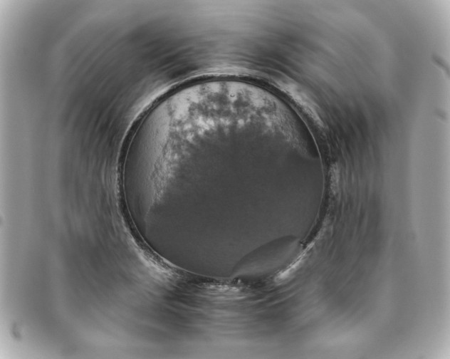 X0000096481229200802071912