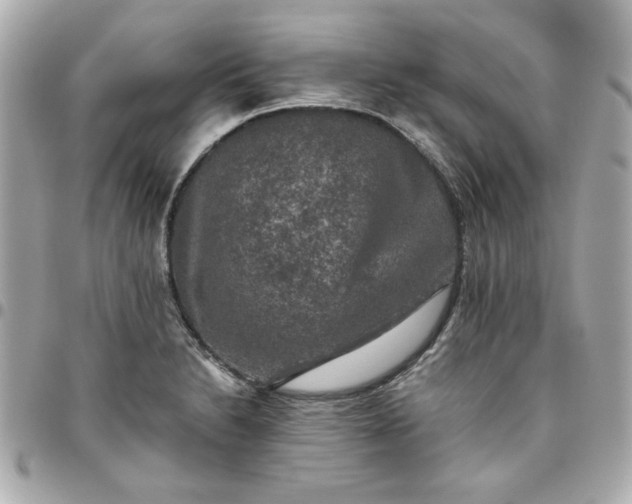 X0000096481230200802071912