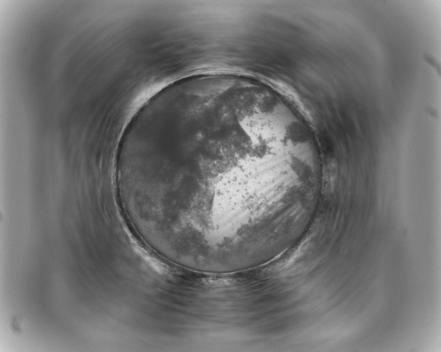 X0000096481231200802071912