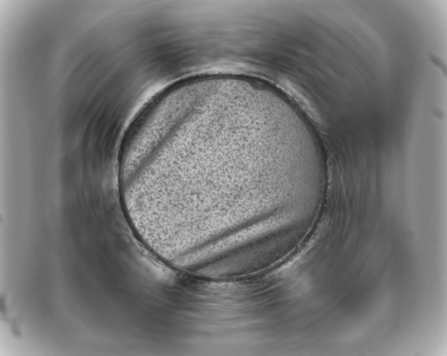 X0000096481232200802071912