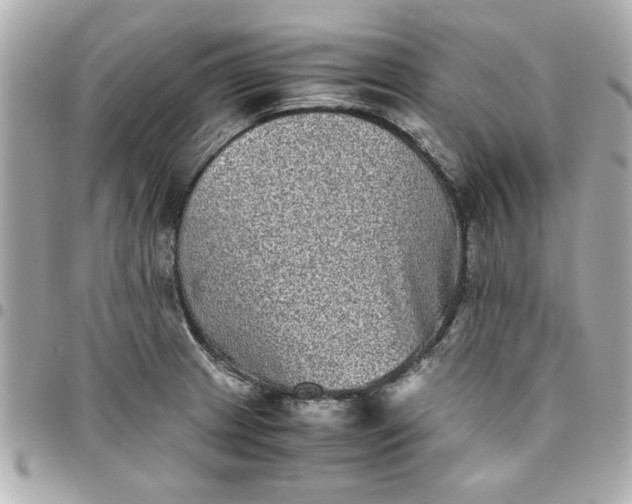 X0000096481233200802071912