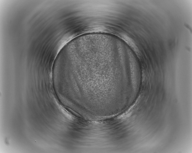 X0000096481234200802071912