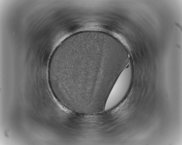 X0000096481237200802071912