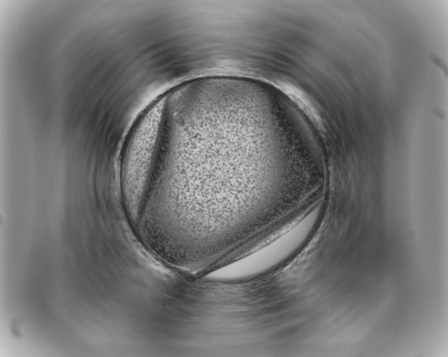 X0000096481238200802071912