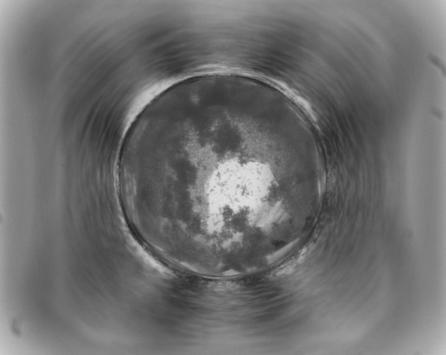 X0000096481239200802071912