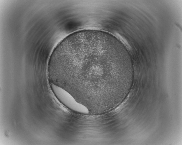 X0000096481240200802071912