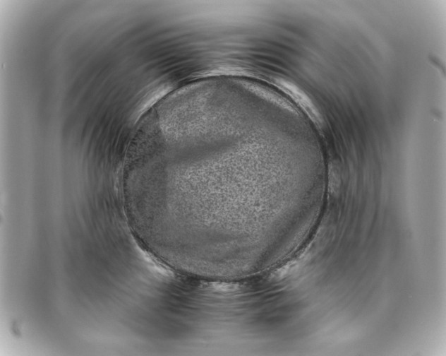 X0000096481241200802071912