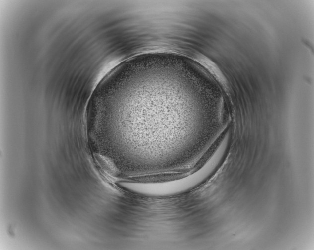 X0000096481242200802071912