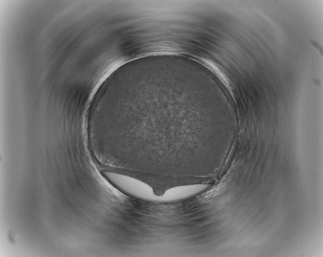 X0000096481243200802071912