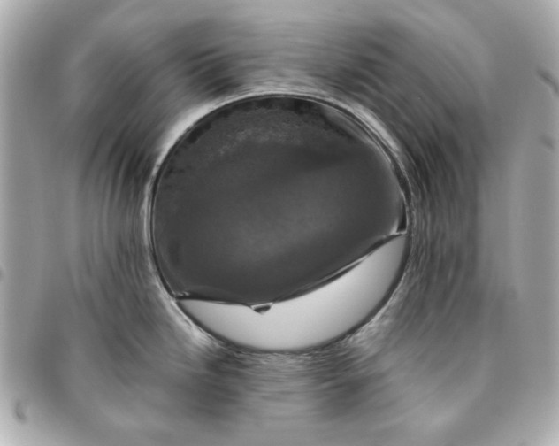 X0000096481246200802071912