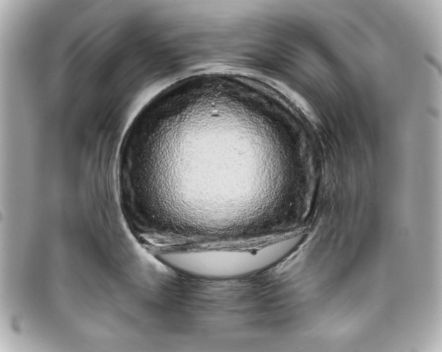 X0000096481247200802071912