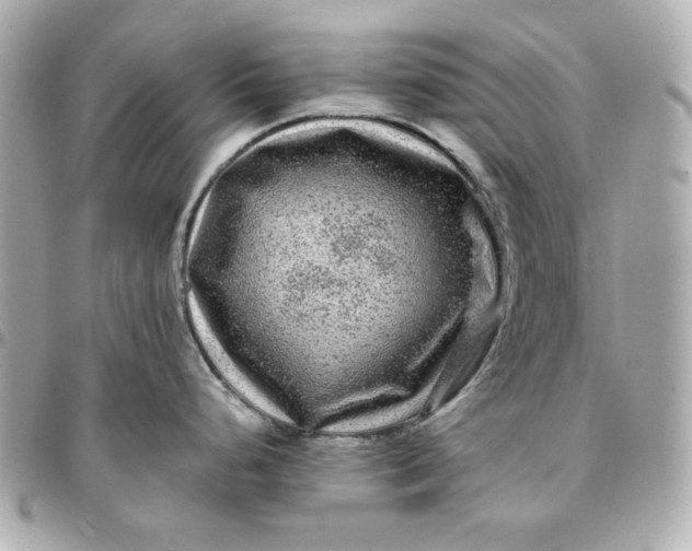 X0000096481248200802071912