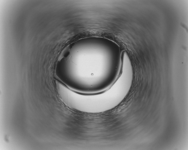 X0000096481249200802071911