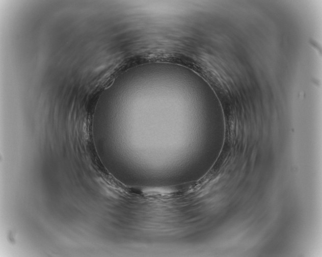 X0000096481250200802071911