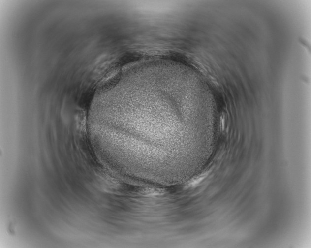 X0000096481251200802071911