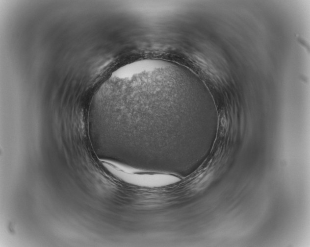 X0000096481252200802071911