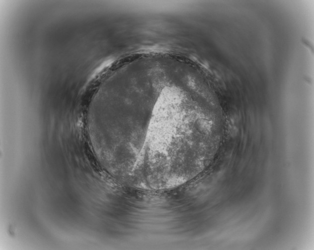 X0000096481254200802071911