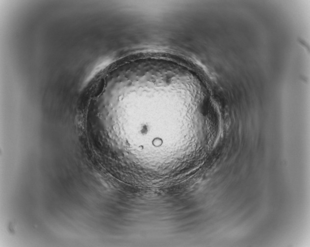 X0000096481255200802071911