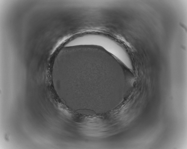 X0000096481256200802071911