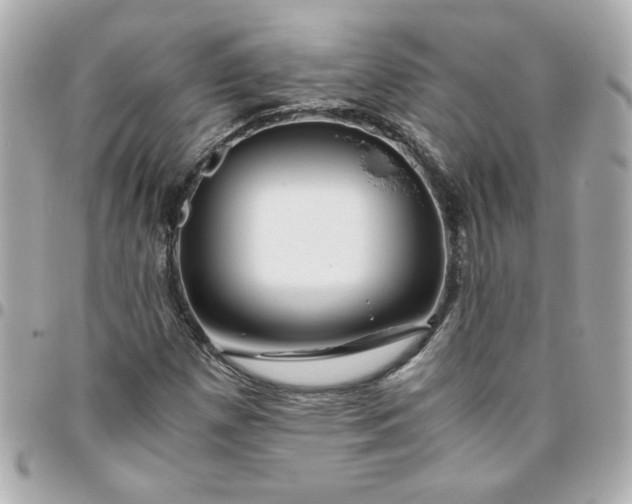 X0000096481257200802071911