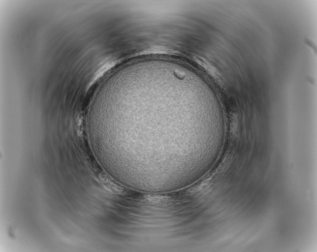 X0000096481258200802071911