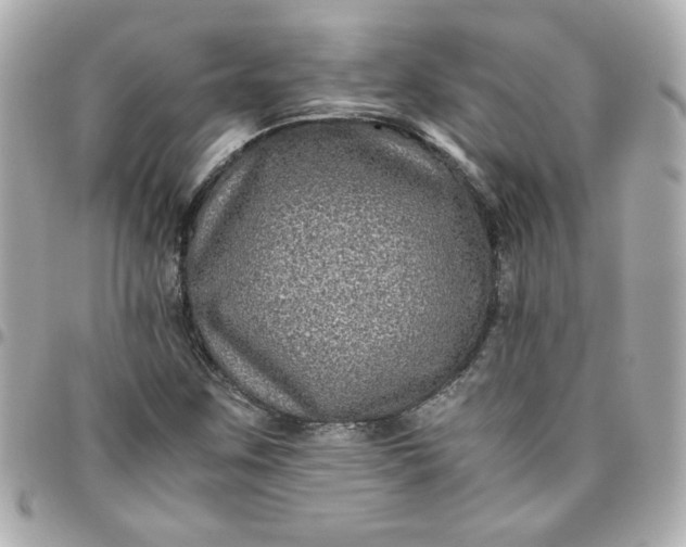 X0000096481259200802071911