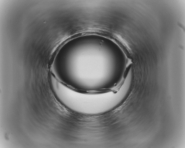 X0000096481260200802071911