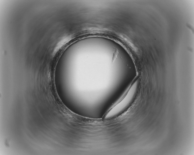 X0000096481261200802071911