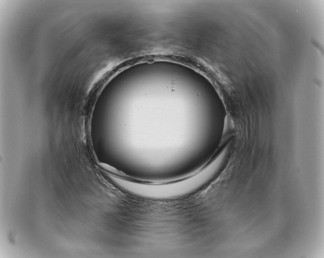 X0000096481262200802071911